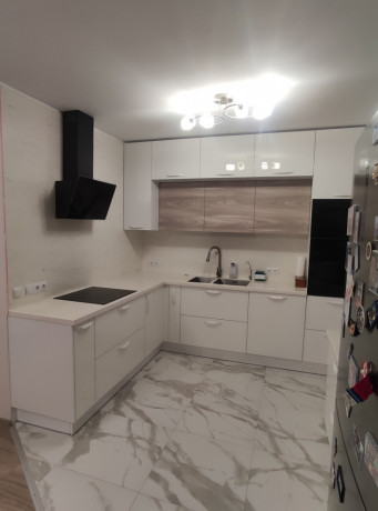 mebel-dlia-kuxni-i-korpusnaia-mebel-po-individualnym-proektam-na-zakaz-bytovaia-texnika-i-moiki-big-1